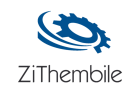 ZiThembile Consulting Survey